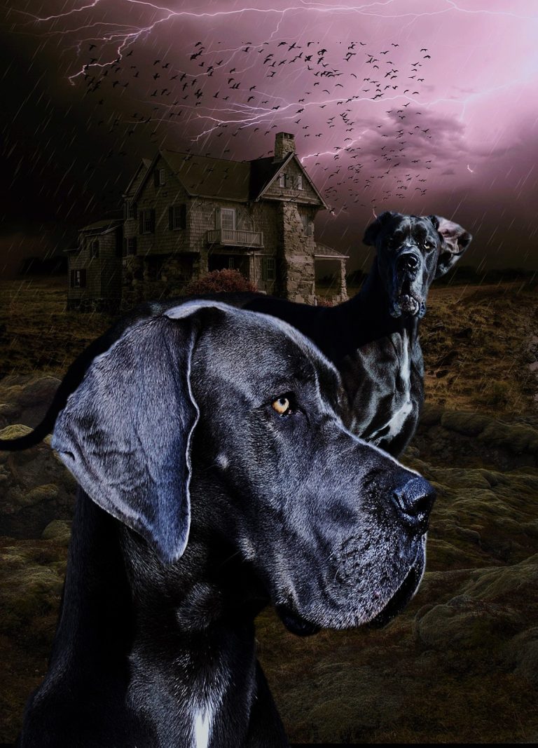 Exploring the Unlucky Number 13 Myth: Origins Exploring the Unlucky Number 13 Myth: Origins